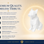 white French Bulldog custom Pet Urn