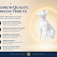White Boston Terrier Custom Pet Urn