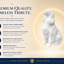 White Cocker Spaniel Custom Pet Urn