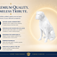 White Boxer Custom Pet Urn