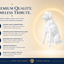 White Labrador Custom Pet Urn