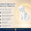 White Beagle Custom Pet Urn