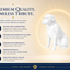 White Rottweiler Custom Pet Urn