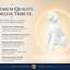 White Brittany Spaniel Custom Pet Urn