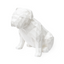 English Bulldog