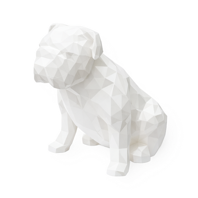 English Bulldog