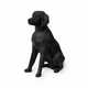 Black Brittany Spaniel Pet Urn
