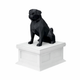 white vault black pug pet urn