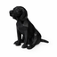 Black Beagle Pet Urn