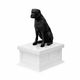 white vault black boxer pet urn