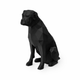 Black Boxer Pet Urn