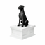 Great Dane