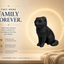 black Scottish Fold Cat Pet Capsule custom Urn