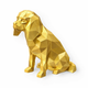 Gold Cavalier King Charles Spaniel Pet Urn