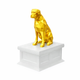 white vault gold boxer pet urn