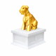 white vault gold Schnauzer pet urn