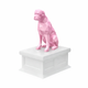 white vault pink boxer pet urn