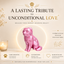 pink Scottish Fold Cat Pet Capsule custom Urn