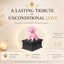 black vault pink maltese custom pet urn