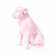 Pink Rottweiler Pet Urn