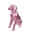 Brittany Spaniel Capsule Pet Urn
