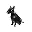Bull Terrier Capsule Pet Urn