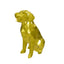 Golden Retriever Capsule Pet Urn