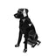 Labrador Capsule Pet Urn