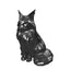 Maine Coon Cat Capsule Pet Urn