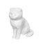 Scottish Fold Cat Capsule Pet Urn