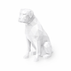 White Boxer Pet Urn