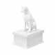 white vault white boxer pet urn