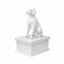 Brittany Spaniel