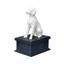 Brittany Spaniel