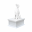 English Setter