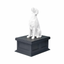 English Setter